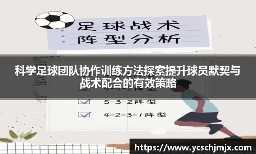 xc体育