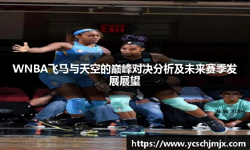 xc体育